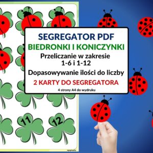 Segregator PDF – Biedronki i koniczynki – nauka liczenia, rozpoznawanie cyfr i porównywania ilości. – karta do segregatora