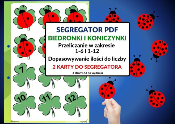 Segregator PDF – Biedronki i koniczynki – nauka liczenia, rozpoznawanie cyfr i porównywania ilości. – karta do segregatora