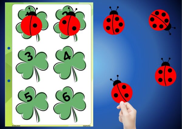 Segregator PDF – Biedronki i koniczynki – nauka liczenia, rozpoznawanie cyfr i porównywania ilości. – karta do segregatora